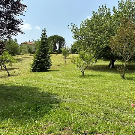 Maison De Campagne * Saint-Gery (Lot)